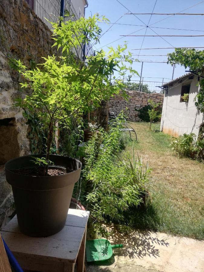 Appartement Old Istrian House,Free Parking à Galižana Extérieur photo